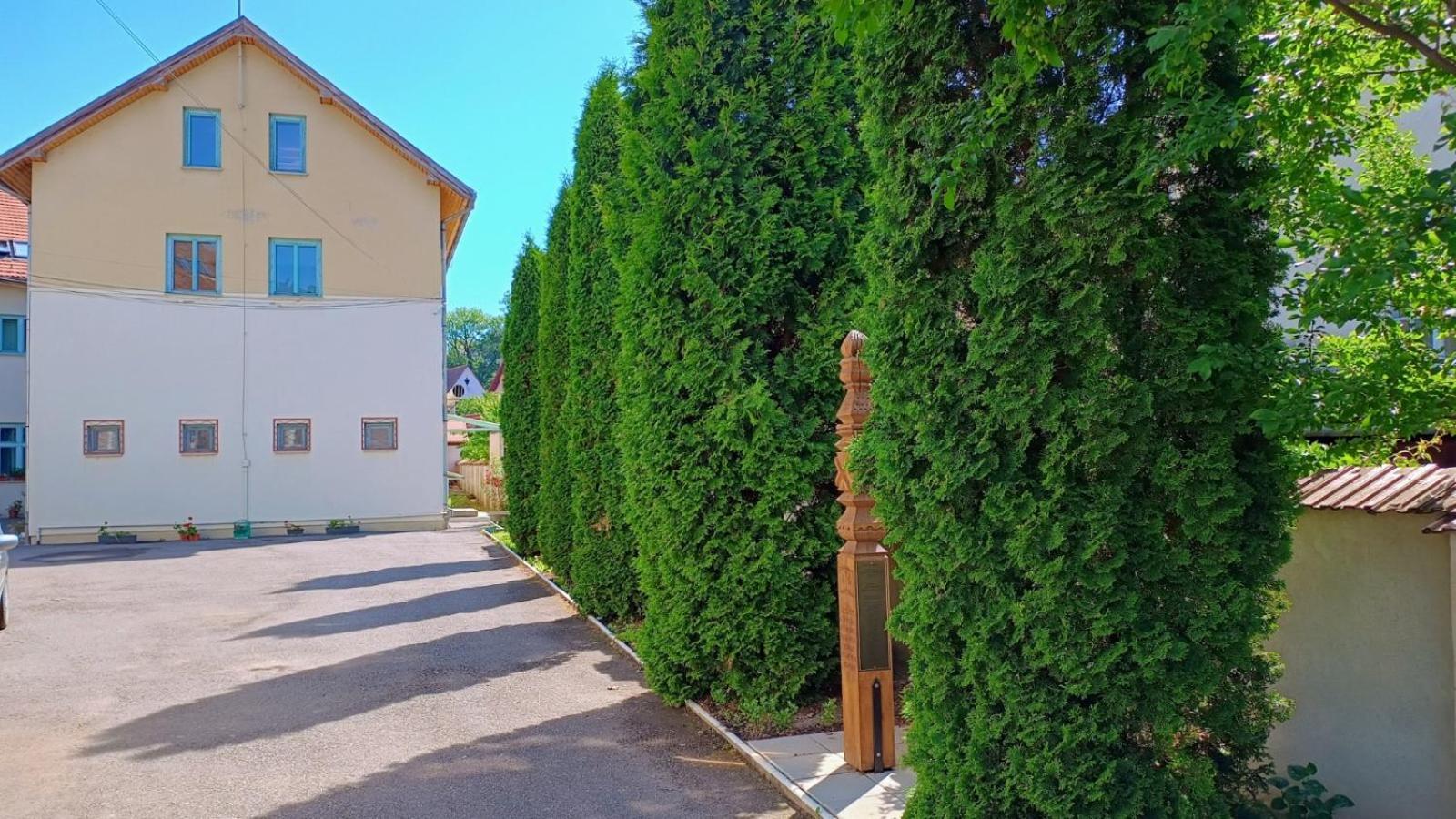 Ostello Centrul Gaudeamus Sighişoara Esterno foto